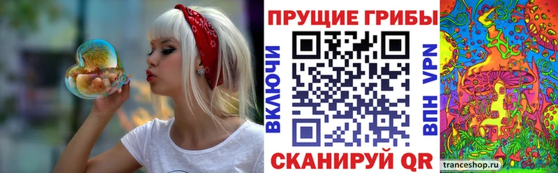 Купить закладки  Нижневартовск  Галлюциногенные грибы мухоморы 